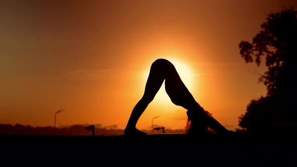 Yoga: A Daily Practice
