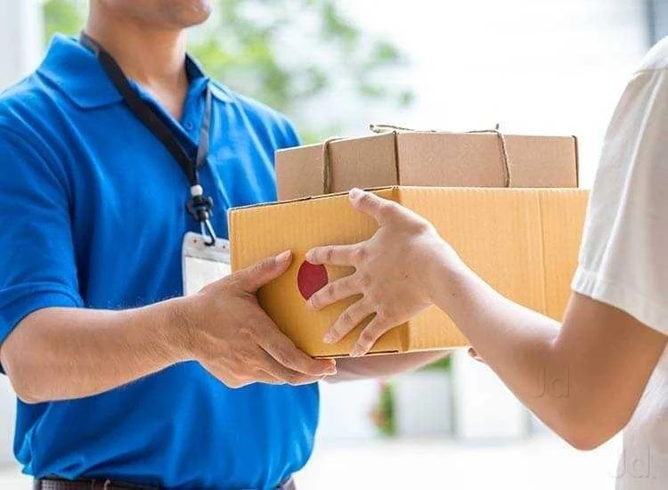 Professional Packing Services